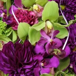 Meet your Posher, Mrs.